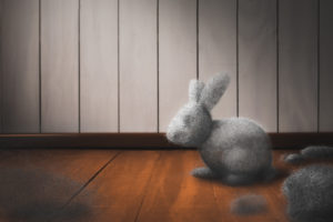 What causes dust bunnies in a house