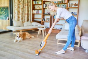 How often should you clean your house with pets