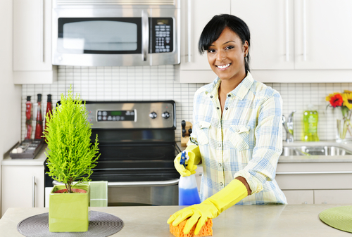 maid services preston ct 