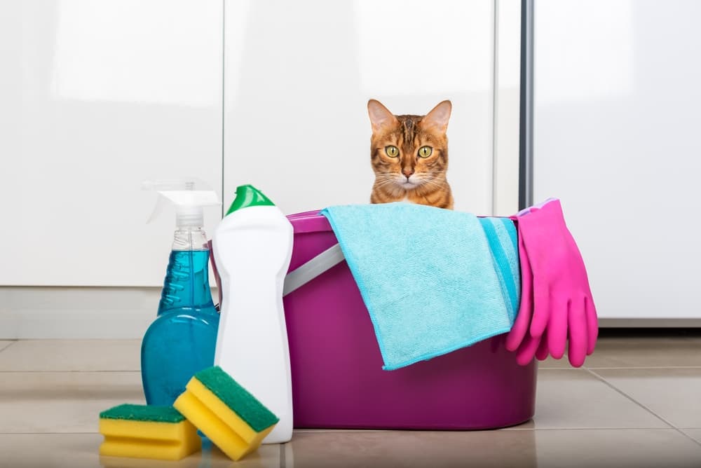 What is antimicrobial cleaning