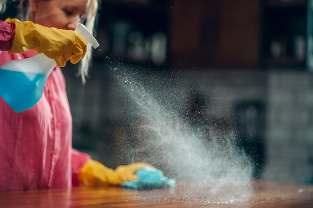 house cleaning norwich