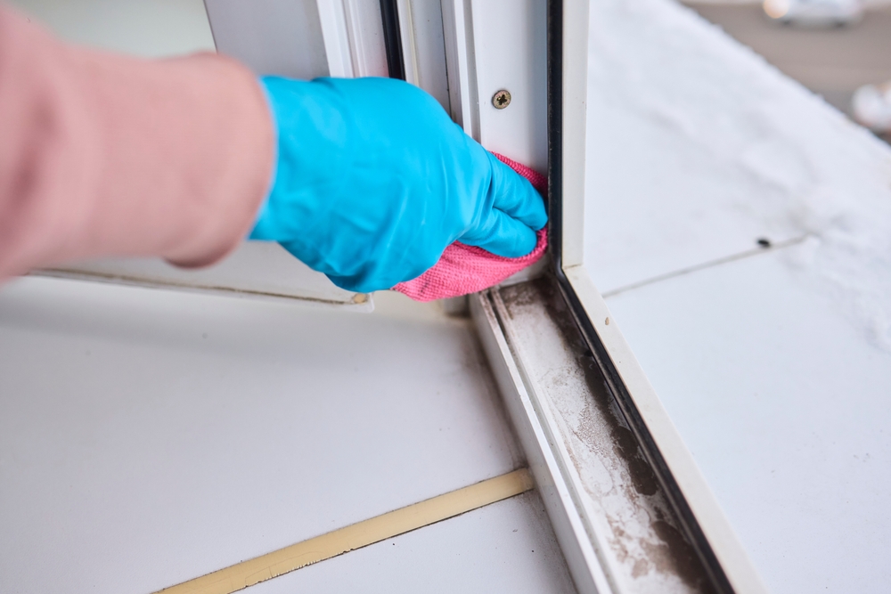 Who do I get in touch with meticulous maid services in Griswold, CT?