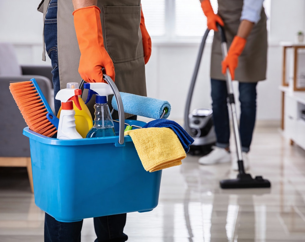 Is it easier to clean an apartment or house